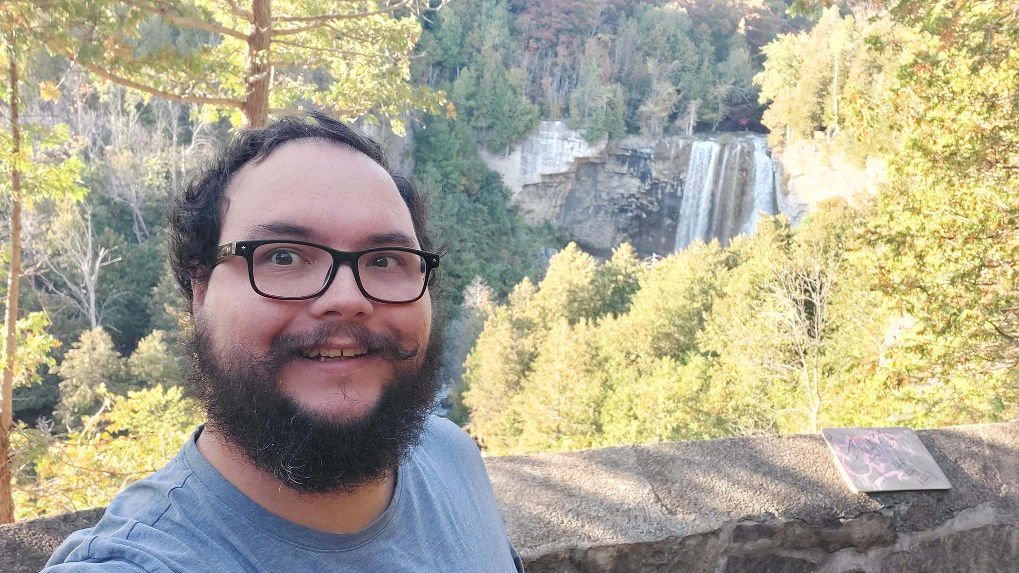 A man with short hair and bushy facial hair stands in front of a brick wall, which seperates him from a ravine with a high waterfall at one end, the scene takes place in an autumn forest in the sun